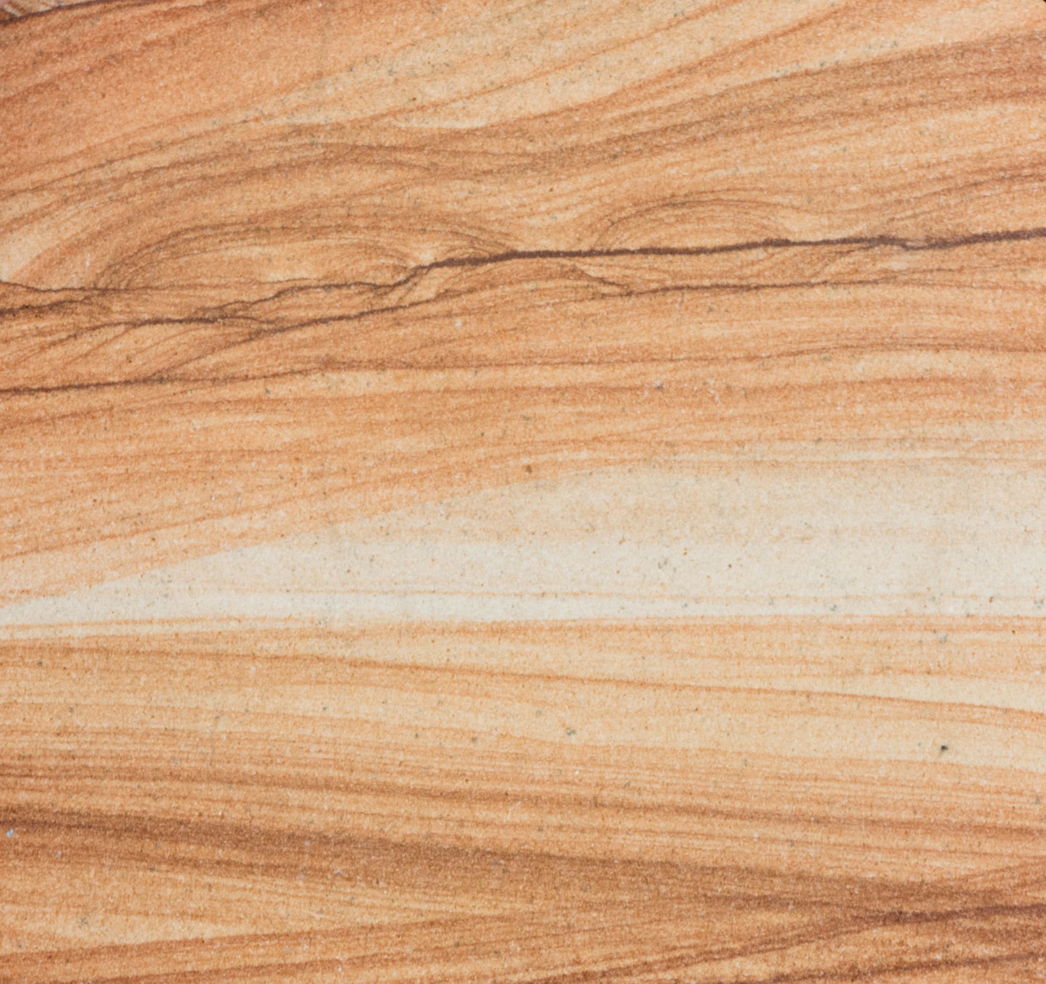 Teakwood , Dessert Teak, Yellow Teak