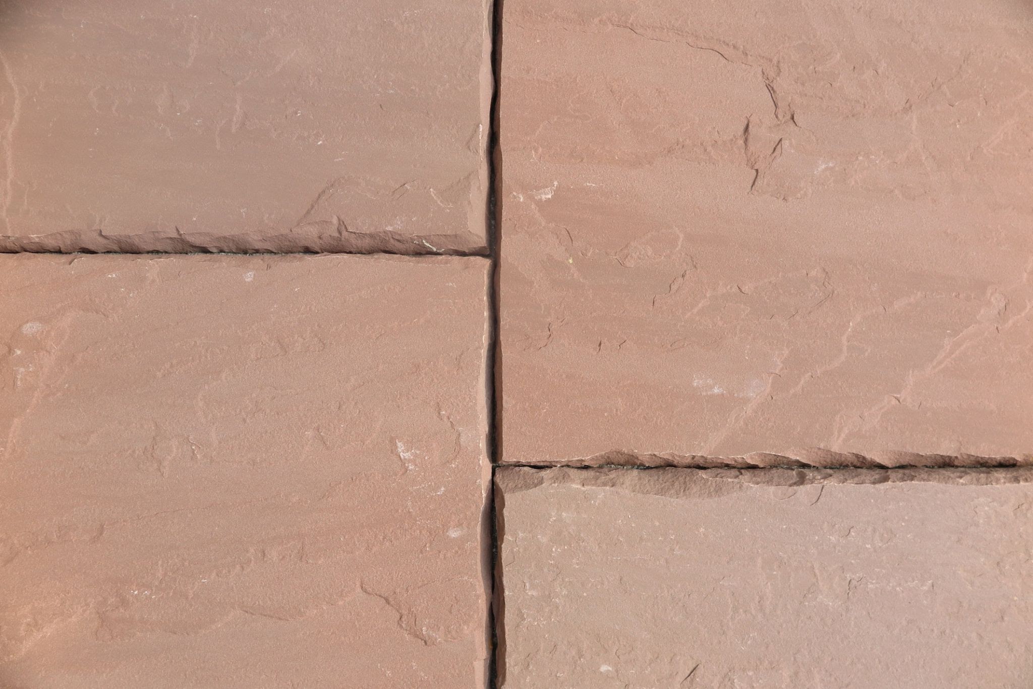 Rose Red ,Mandana Red,Agra ,Dholpur,Magic purple