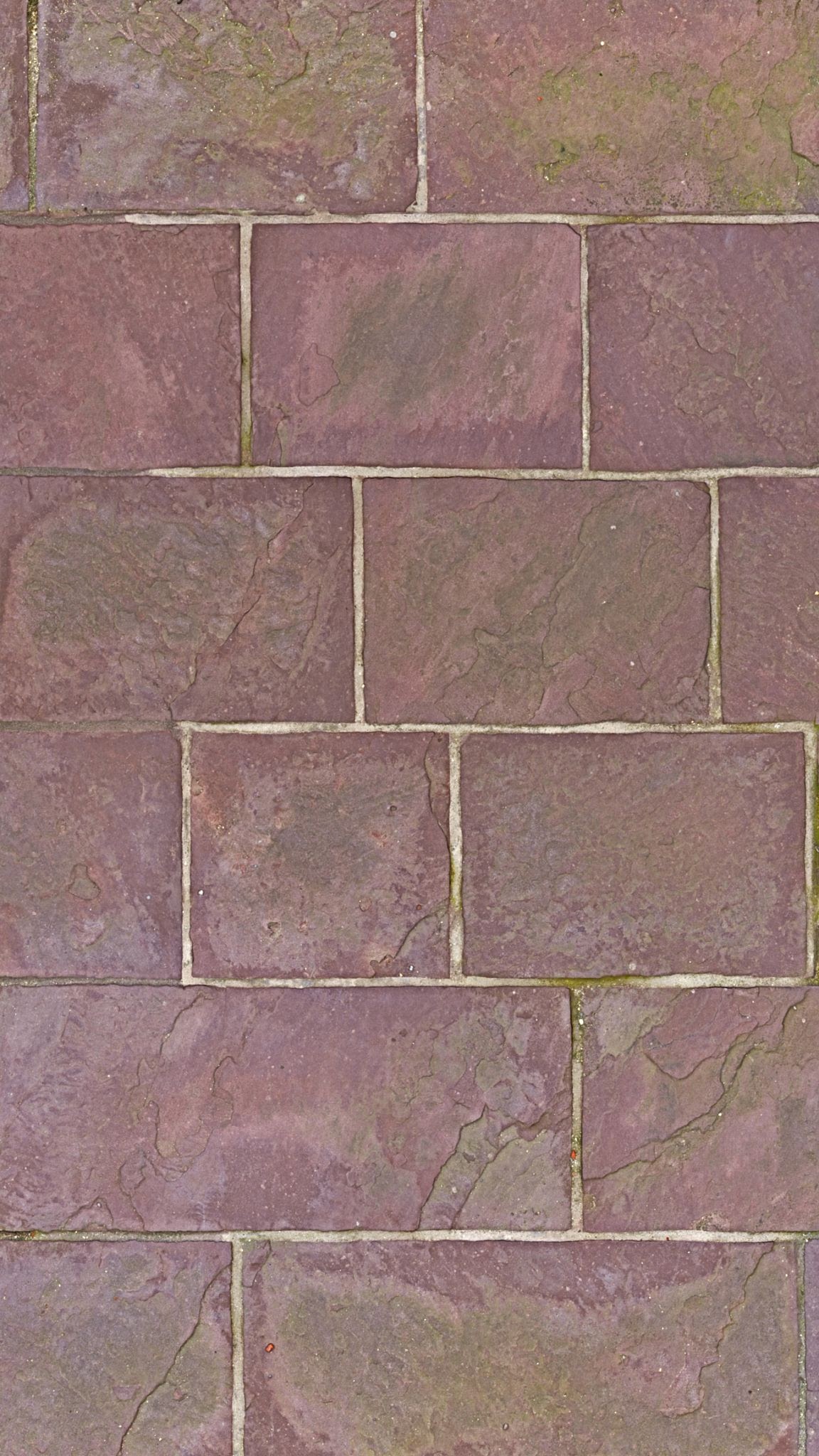 Rose Red ,Mandana Red,Agra ,Dholpur,Magic purple
