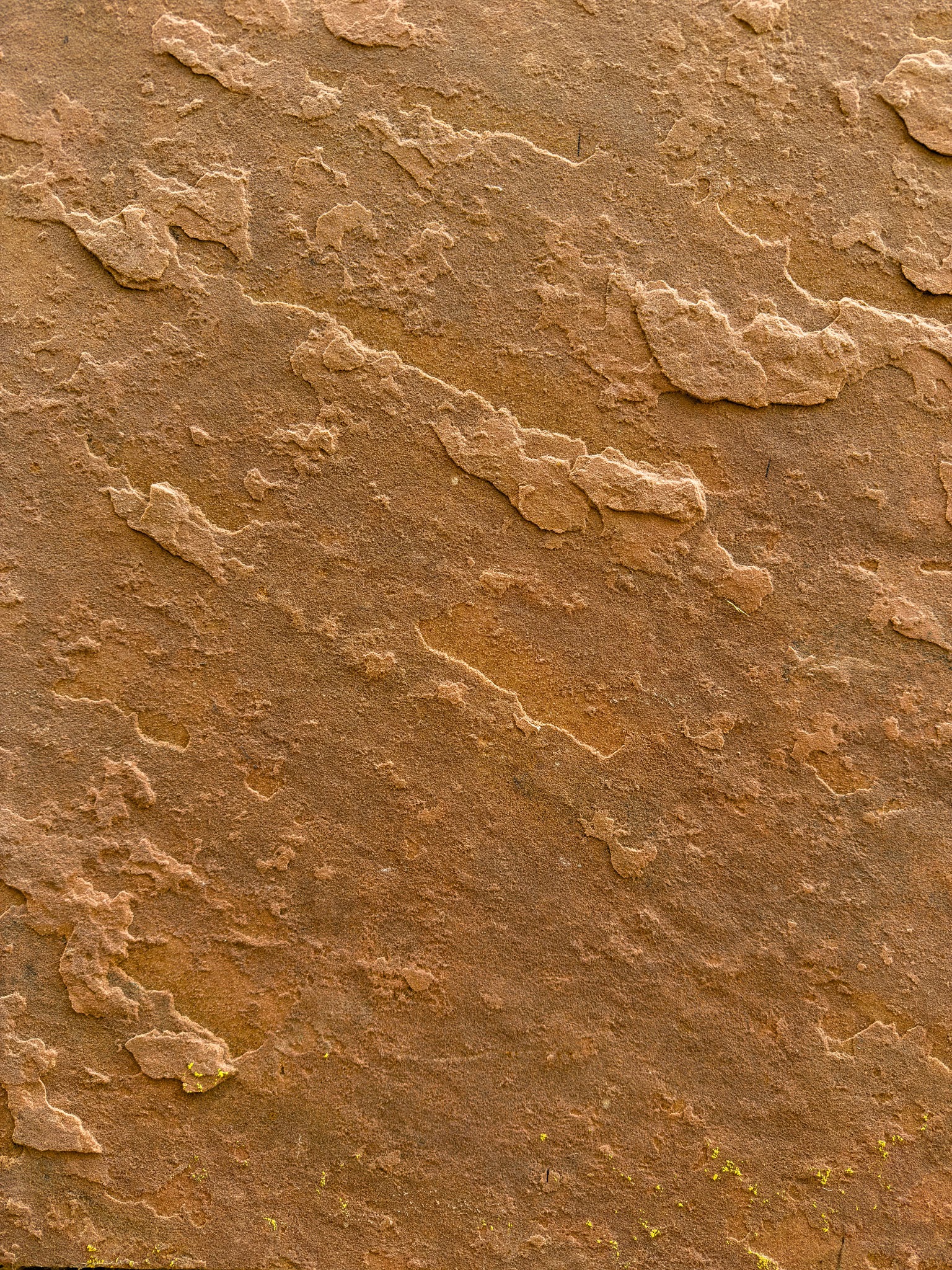 Golden Brown, Desert Gold & Buff